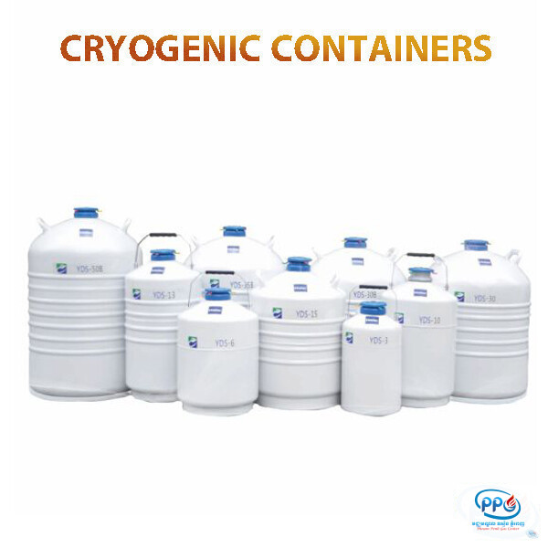 Cryogenic Containers